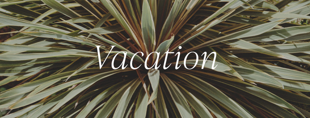 Vacation: a period of time spent away.